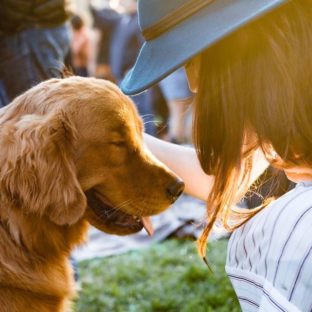 Woman kneeling down to pet dog