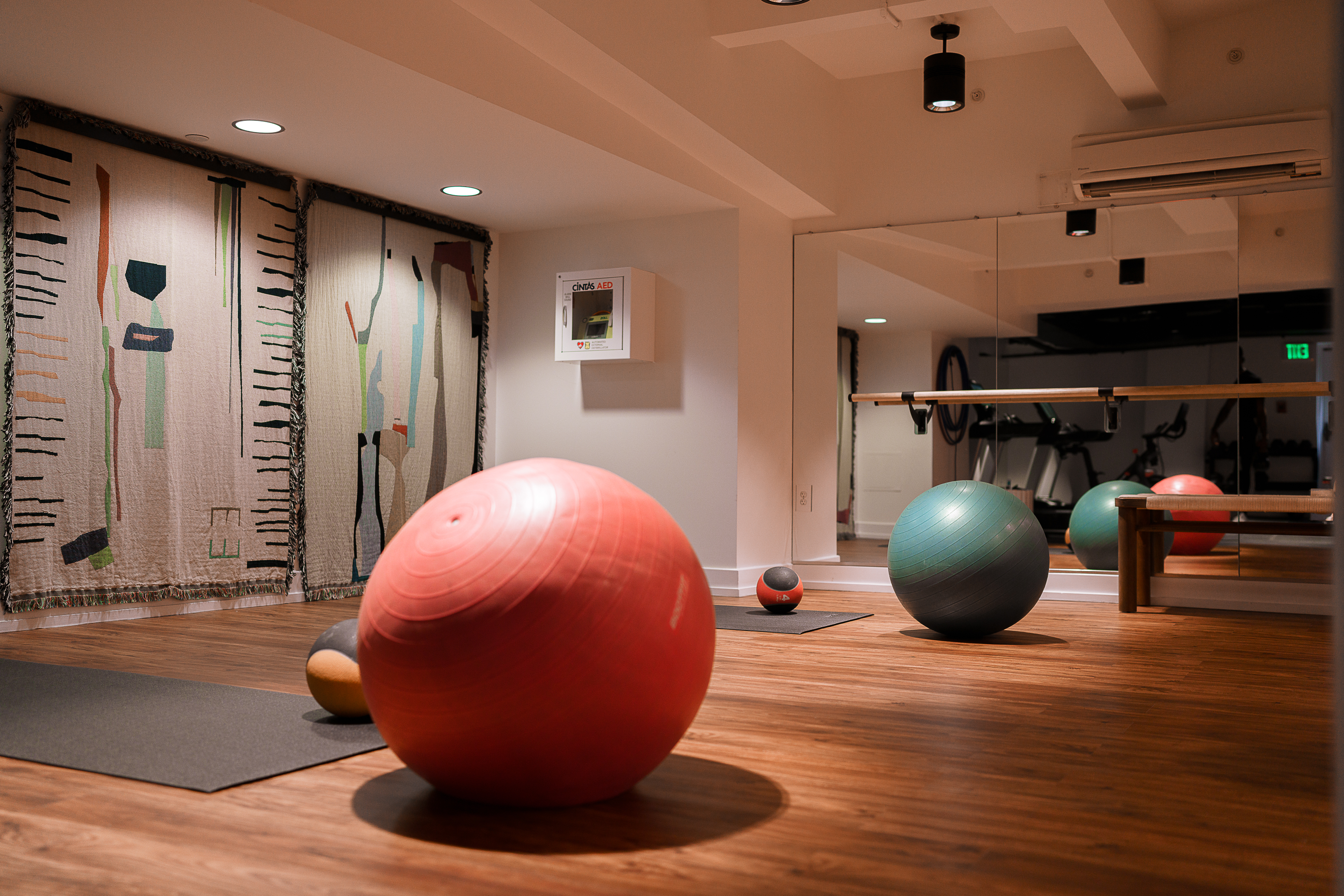 Lyle Gym with exercise balls